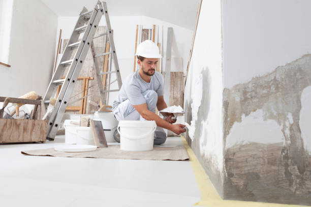 Best Forensic Mold Investigation  in Roman Forest, TX