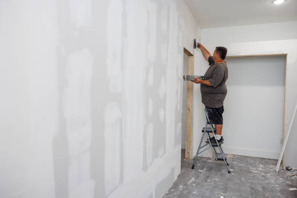 Best Mold Odor Removal Services  in Roman Forest, TX