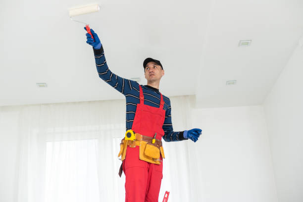 Biohazard Mold Removal in Roman Forest, TX